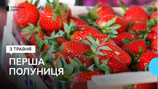 Полуниця з'явилася на ринках в Одесі: звідки та скільки коштує