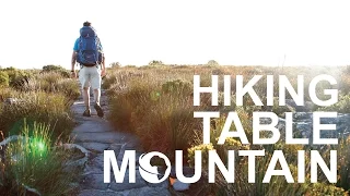 Visit Cape Town | Hiking Table Mountain with the Fynbos Guy