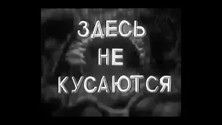 Здесь не кусаются (1937) мультфильм