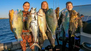 BEST INSHORE VISIBILITY EVER | BARRAMUNDI FINGERMARK & TUSKFISH - Spearfishing Townsville Australia