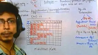 Antibody test (quantitative tests)