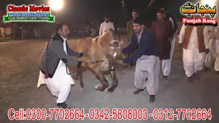 Horse Dance Jashne Bodla Bahar Day 2nd 2017 Abadi Shahbaz Nagar Pakpattan 33