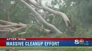 Massive cleanup effort underway in Pinellas County