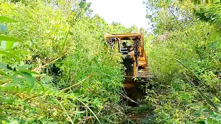 Highly Efficient Operators Service Roads on Plantations With D6R XL Bulldozers