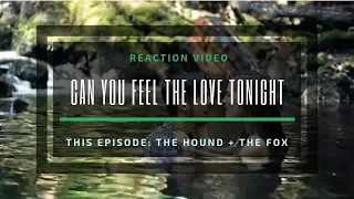 Reaction Video : 🦁 Can You Feel The Love Tonight (The Hound + The Fox) 🐗 | Ariel Yining Loh