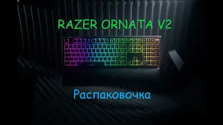 RAZER ORNATA V2 | Распаковка и обзор