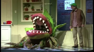 Audrey II  -  La Tiendita del Horror - de Plan 9 en el teatro Larco. #titeres #shows #teatro