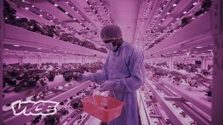 Can Vertical Farms Fix the Future of Food?