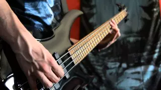 Nightwish -  Endless Forms Most Beautiful Bass Cover