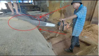 The Process of Cutting Solid Pachy Redwood Tr