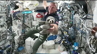 Expedition 69 Astronaut Andreas Mogensen | Exclusive Interview with Copenhagen Media