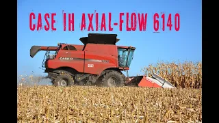 CASE IH Axial-FLow 6140  и АКРОС 595 плюс на уборке кукурузы
