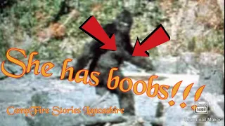 Patterson Gimlin Footage, my thoughts and theories