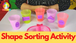 SHAPE SORTING ACTIVITY for Kids/Toddlers (Preschool Activity)