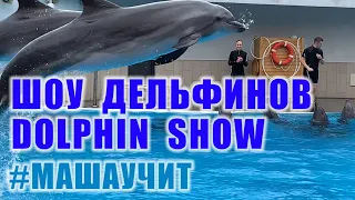Дельфинарий в Клайпеде - Шоу дельфинов - Dolphin show, выступление дельфинов, дельфины поют