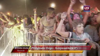 Fedde Le Grand & Phlegmatic Dogs - Keepmastik (Vip) (Live @ Darwin Colors Festival 2017)