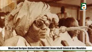 🔴Waxtaani Serigne Abdoul Ahad MBACKE (1914 - 1989)