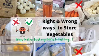 How to Store Vegetables and Reduce Food Waste | TIPS & TRICKS to make Fresh Vegetables last longer