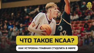 Что такое и как устроена NCAA / Подкаст о баскетболе «Обезбол»