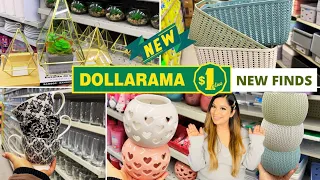 Dollarama Dollar Store Canada New Finds, Home Kitchen Pantry Organizers & Storage Ideas