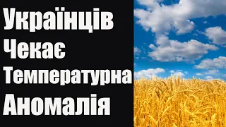 Яким буде літо 2024 року: прогноз погоди на три місяці