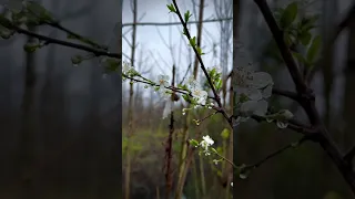 Живите,  любите,  цените. И  радуйтесь  каждому  дню! Тепло души сберегите -Не дайте погаснуть огню.