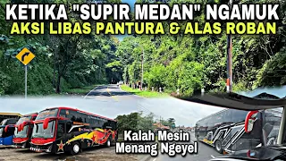 Ketika SUPIR BATAK Ngamuk 😱 Libas Pantura & Alas Roban ❗️| trip Bintang Utara Putra BUP “ Vilas “