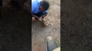 Man Revives A Monkey