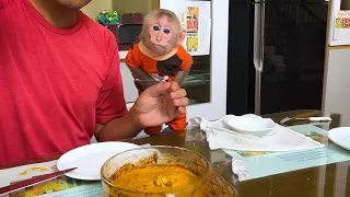 Super monkey! Bibi obediently helps dad make pumpkin pie!