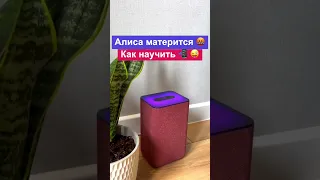 Алиса матерится 🤬🤬 Как научить Яндекс Станцию ругаться матом #shorts