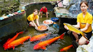 Girl and father help fish lay eggs and fertilize fish, bushcraft camping / LTtivi