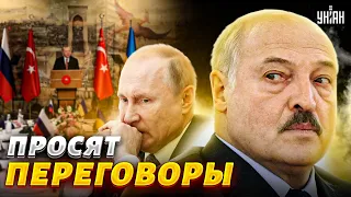 Путин не сдержался и попросил у Киева переговоры. На помощь пришел Лукашенко