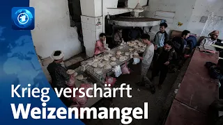 Ukraine-Krieg treibt Weizenpreise in die Höhe