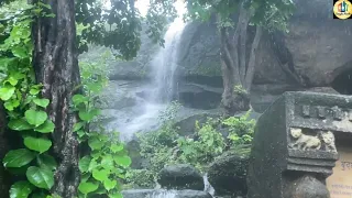 #Sanjay Gandhi National Park| #Borivali |#waterfall #SGNP in rain |#Kanheri Caves |#SGNP WATERFALL