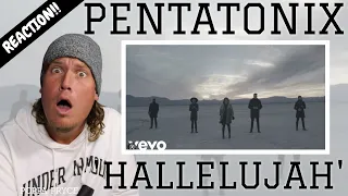 Pentatonix - Hallelujah (REACTION!!) Lets See What The Fuss Is About!