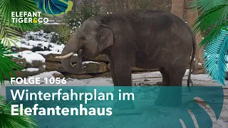 Winterfahrplan (Folge 1056) | Elefant, Tiger & Co. | MDR