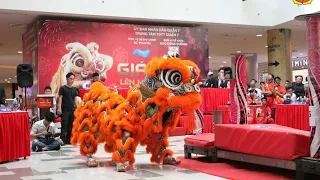 [Giải Lân Lên Mai Hoa Thung Sc VivoCity 2018] Vy Anh Đường lion dance championship Sc Vivocity 2018