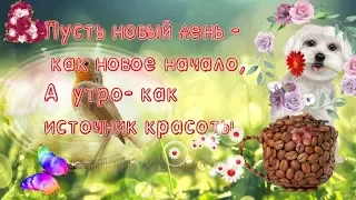 Начни свой  день с улыбки