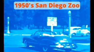 San Diego Zoo 1950's Vintage 8mm Footage