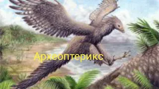 Археоптерикс самая древняя птица