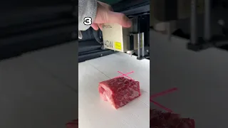 Using a $3k LASER to cook a STEAK?!? (Surprising)