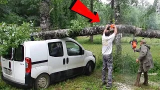 Dangerous Big Tree Cutting Fails With Chainsaw Working - Heavy Tree Falling On Car Pathetic