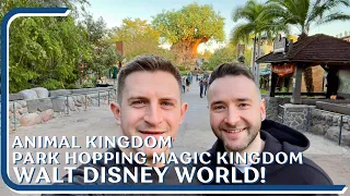 Walt Disney World Vlog | Animal Kingdom | Magic Kingdom | Happily Ever After | Max & Alex January 24