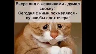 Прикольные и смешные анекдоты 17