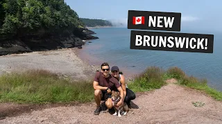 Exploring NEW BRUNSWICK 🇨🇦 | TWO national parks, trying Acadian food, & MORE!