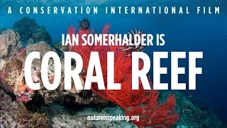 Nature Is Speaking – Ian Somerhalder is Coral Reef | Conservation International (CI)