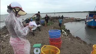 Thu mua hải sản ở Kiên Lương Kiên Giang