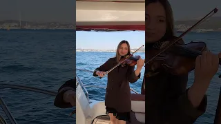Señorita Violin