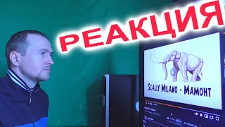 Scally Milano Мамонт Реакция