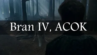 Game of Thrones Abridged #102: Bran IV, ACOK